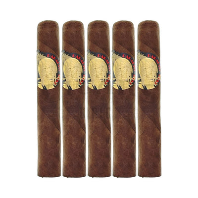 Caldwell Lost and Found Paradise Lost Maduro Robusto 5 Pack