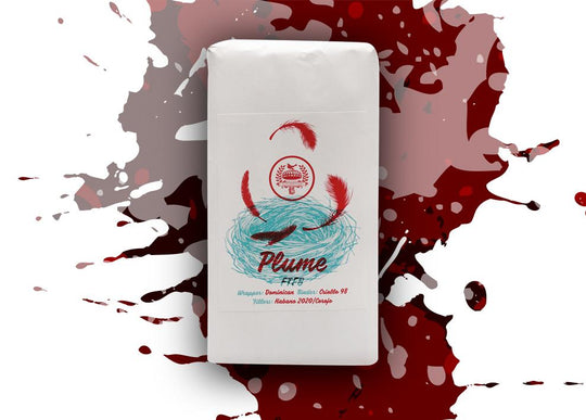 Caldwell Lost and Found Plume Toro