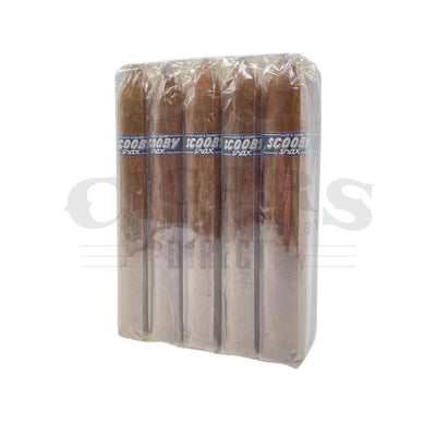 Caldwell Lost and Found Scooby Snax Blue Band Torpedo Bundle of 10
