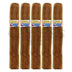 Caldwell Lost and Found Super Stroke Vintage 2011 Robusto 5 Pack