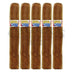 Caldwell Lost and Found Super Stroke Vintage 2011 Robusto 5 Pack