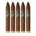 Caldwell Midnight Express Piramide 5 Pack
