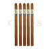 Caldwell Savages Habano Cannon "A" 5 Pack