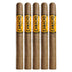 Camacho Connecticut Churchill 5 Pack