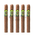 Cao Brazilia Lambada 5 Pack 