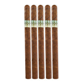 CAO Flavours Eileens Dream Tubos Single