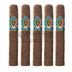 Cao Italia Piazza 5 Pack