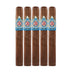 CAO Nicaragua Matagalpa Corona 5 Pack