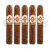 CAO Zocalo Robusto 5 Pack