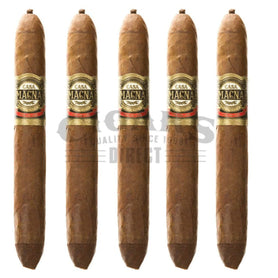 Casa Magna Colorado Diademas 5 Pack