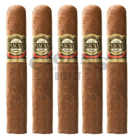 Casa Magna Colorado Gigantor 5 Pack