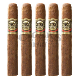 Casa Magna Colorado Gran Toro 5 Pack