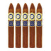 Cavalier Inner Circle Figurado 5 Pack