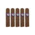 Cigars Direct Champa Bay Habano Robusto Gordo 2021 5 Pack