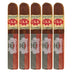 CLE 25th Anniversary Robusto 5 Pack