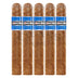 Cohiba Blue Robusto 5 Pack