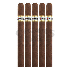 Cohiba Puro Dominicana Corona 5 Pack