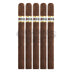 Cohiba Puro Dominicana Corona 5 Pack