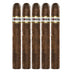 Cohiba Puro Dominicana Robusto 5 Pack