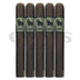Crowned Heads Juarez Chihuahua 5 Pack