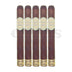 Crowned Heads Le Patissier Senadores Toro 5 Pack