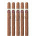 Cusano 18 Maduro Churchill 5 Pack