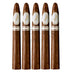 Davidoff Colorado Claro Special T 5 Pack