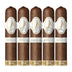 Davidoff Dominicana Short Robusto 5 Pack