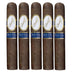 Davidoff Royal Release Robusto 5 Pack
