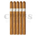 Davidoff Signature Series Ambassadrice 5 Pack