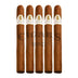 Davidoff Winston Churchill Aristocrat 5 Pack