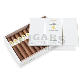 Davidoff Winston Churchill Statesman Robusto Open Box