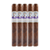 Diamond Crown Julius Caeser Robusto 5 Pack