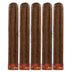 Diesel Unlimited D5 5 Pack