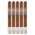 Diesel Whiskey Row Churchill 5 Pack