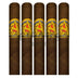Don Lino Africa Robusto 5 Pack