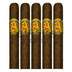 Don Lino Africa Toro 5 Pack
