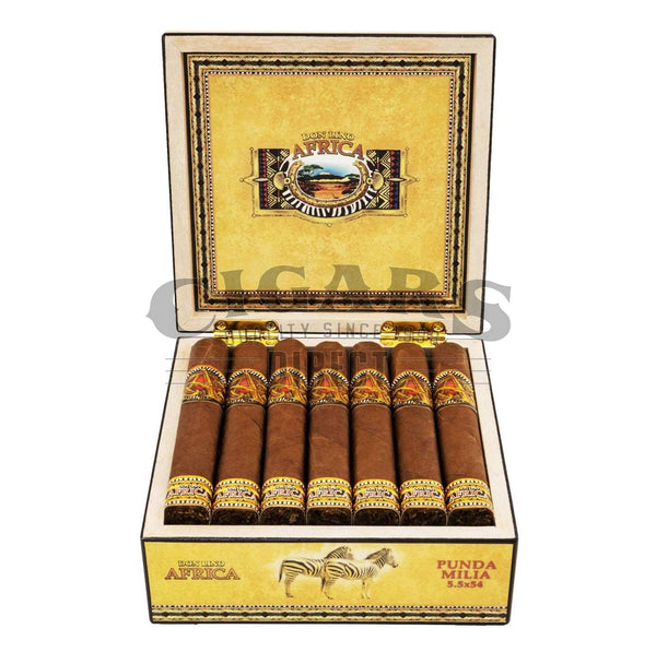 Don Lino Africa Toro Open Box
