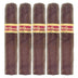 Dunbarton Mi Querida Triqui Traca No.448 5 Pack