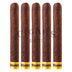Dunbarton Muestra De Saka Exclusivo 5 Pack