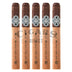 Dunbarton Sin Compromiso Seleccion No.7 5 Pack