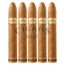 Dunbarton Sobremesa Brulee Gordo 5 Pack