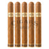 Dunbarton Sobremesa Brulee Toro 5 Pack