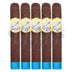 Espinosa Laranja Azulejo Gordo 5 Pack