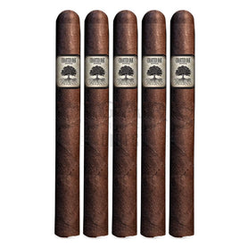 Foundation Cigar Co Charter Oak Maduro Lonsdale 5 Pack