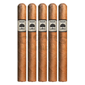 Foundation Charter Oak Shade Lonsdale 5 Pack