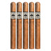 Foundation Charter Oak Shade Lonsdale 5 Pack