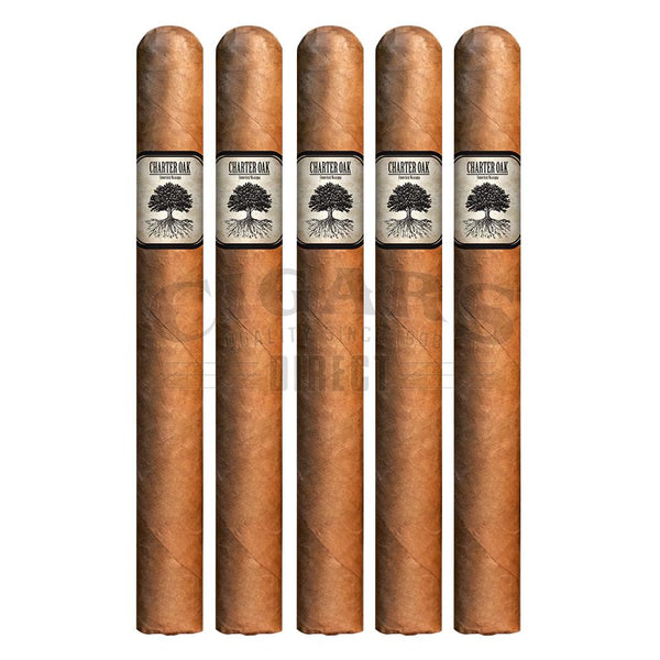 Foundation Charter Oak Shade Lonsdale 5 Pack