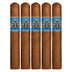 Foundation El Gueguense Robusto 5 Pack