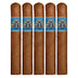 Foundation El Gueguense Toro Huaco 5 Pack